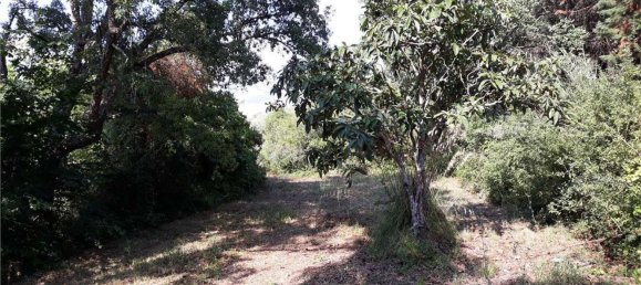 Terrain à Itri, Italy 6500m² No. 171401 5