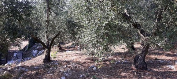 Terrain à Itri, Italy 6500m² No. 171401 6