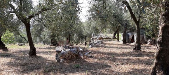 Terrain à Itri, Italy 6500m² No. 171401 12