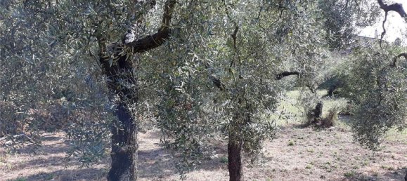 Terrain à Itri, Italy 6500m² No. 171401 11