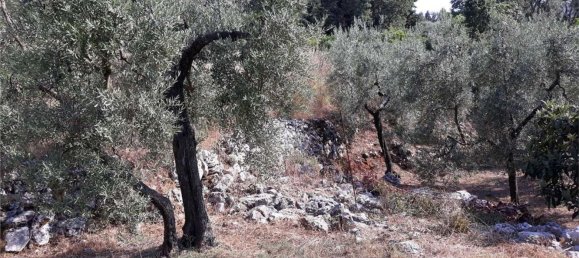 Terrain à Itri, Italy 6500m² No. 171401 8