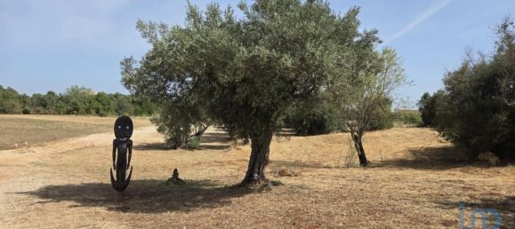 Земельный участок 8280м² в Падерни, Португалия № 190204 14