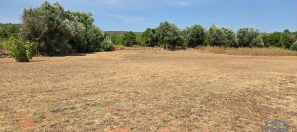 Земельный участок 8280м² в Падерни, Португалия № 190204 10