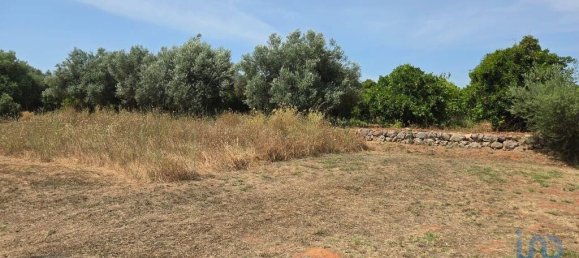 Земельный участок 8280м² в Падерни, Португалия № 190204 23