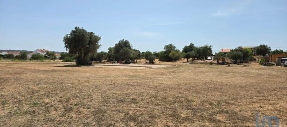 Земельный участок 8280м² в Падерни, Португалия № 190204 8