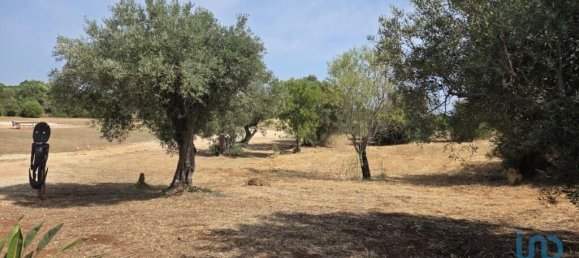 Земельный участок 8280м² в Падерни, Португалия № 190204 11