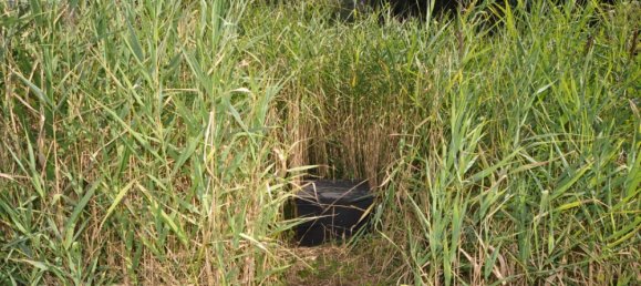 5-salle Maison à Suhl, Germany No. 319228 22