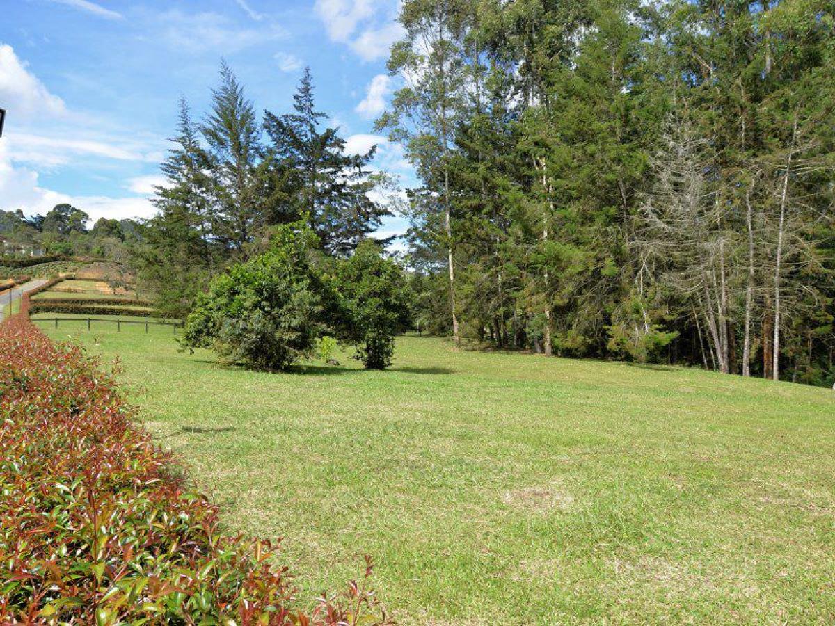  Land in Antioquia, Colombia No. 509