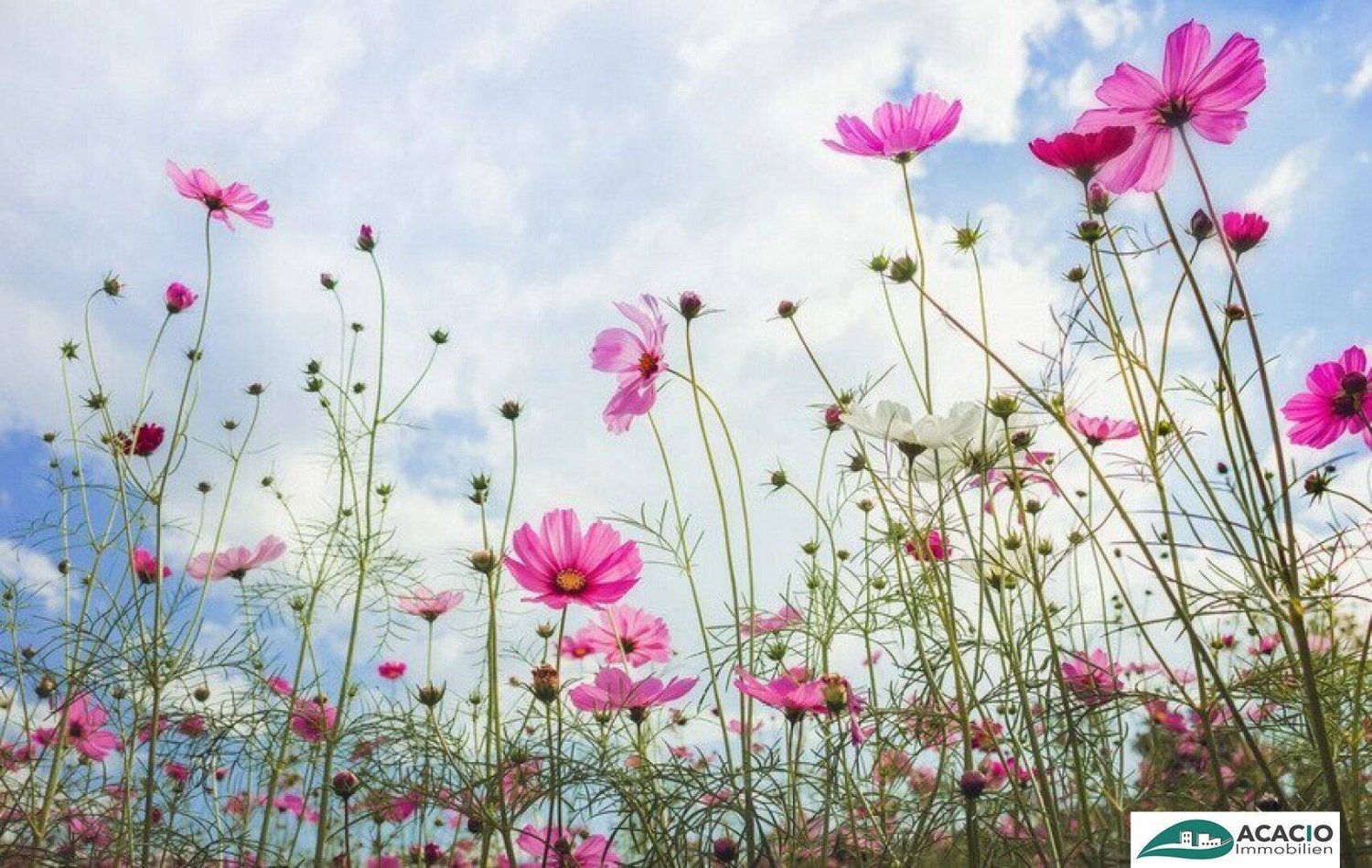 905m² Land in Michelhausen, Austria No. 217615