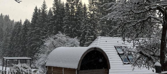 Casa de 4 habitaciónes en Birkfeld, Austria No. 243476 30