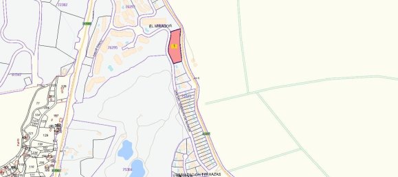 4677m² Land in Alhaurin el Grande, Spain No. 126102 4