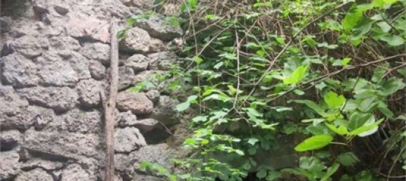 6 rooms Apartment in Ospedaletto, Italy No. 203764 17