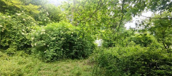 6 rooms Apartment in Ospedaletto, Italy No. 203764 7