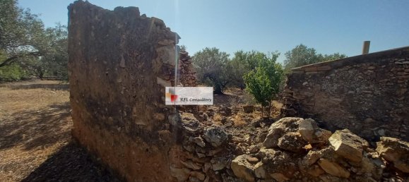 Grundstück in L'Ampolla, Spain 24913m², Nr. 165633 27