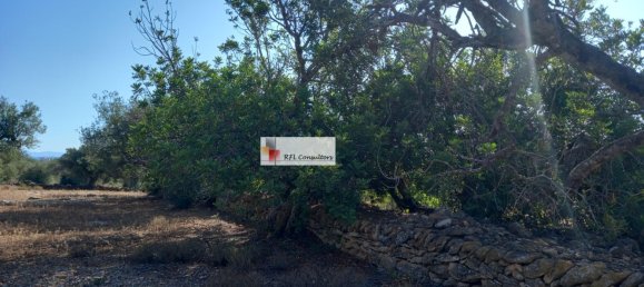 Grundstück in L'Ampolla, Spain 24913m², Nr. 165633 18