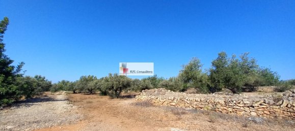 Grundstück in L'Ampolla, Spain 24913m², Nr. 165633 11