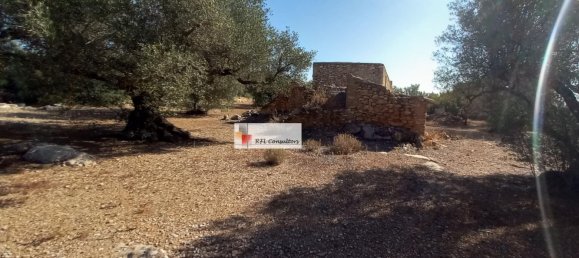 Grundstück in L'Ampolla, Spain 24913m², Nr. 165633 23