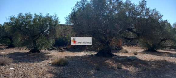 Grundstück in L'Ampolla, Spain 24913m², Nr. 165633 19