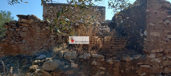 Grundstück in L'Ampolla, Spain 24913m², Nr. 165633 39