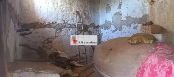 Grundstück in L'Ampolla, Spain 24913m², Nr. 165633 33