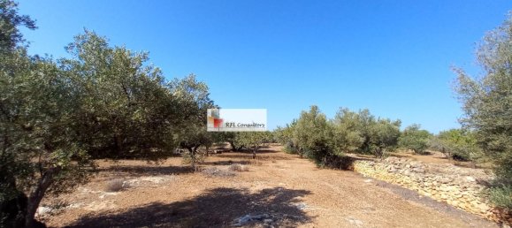 Grundstück in L'Ampolla, Spain 24913m², Nr. 165633 22