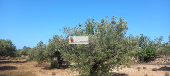 Grundstück in L'Ampolla, Spain 24913m², Nr. 165633 17