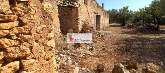 Grundstück in L'Ampolla, Spain 24913m², Nr. 165633 38