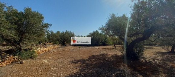 Grundstück in L'Ampolla, Spain 24913m², Nr. 165633 31