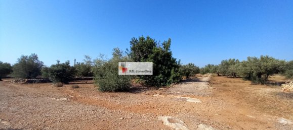 Grundstück in L'Ampolla, Spain 24913m², Nr. 165633 8