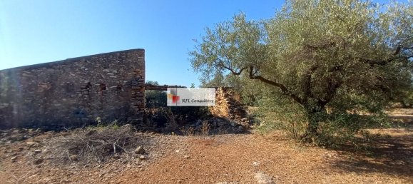 Grundstück in L'Ampolla, Spain 24913m², Nr. 165633 29