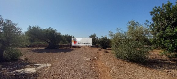 Grundstück in L'Ampolla, Spain 24913m², Nr. 165633 9