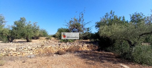 Grundstück in L'Ampolla, Spain 24913m², Nr. 165633 10