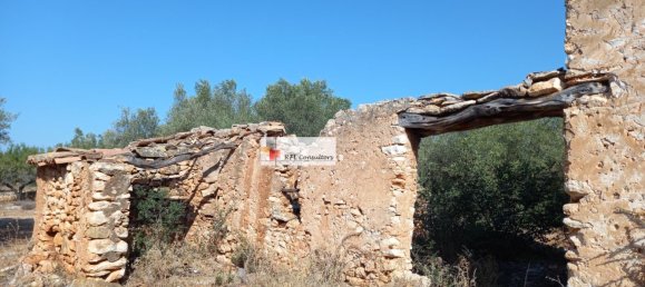 Grundstück in L'Ampolla, Spain 24913m², Nr. 165633 3