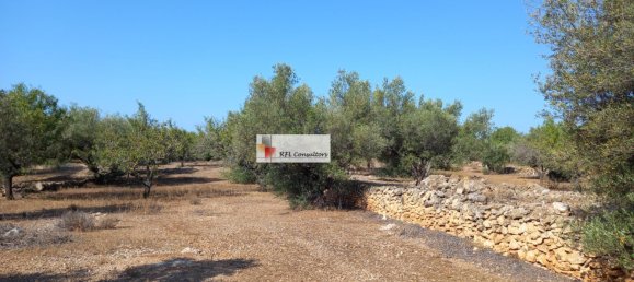 Grundstück in L'Ampolla, Spain 24913m², Nr. 165633 20