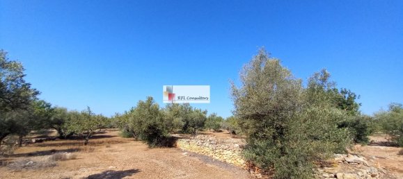 Grundstück in L'Ampolla, Spain 24913m², Nr. 165633 21