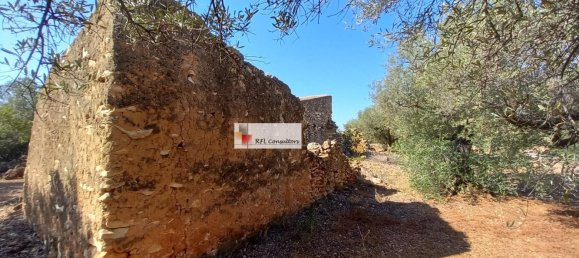 Grundstück in L'Ampolla, Spain 24913m², Nr. 165633 7