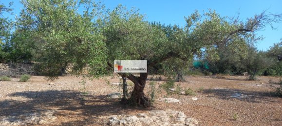 Grundstück in L'Ampolla, Spain 24913m², Nr. 165633 16