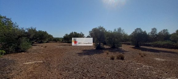 Grundstück in L'Ampolla, Spain 24913m², Nr. 165633 14