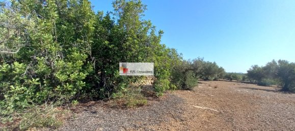 Grundstück in L'Ampolla, Spain 24913m², Nr. 165633 13