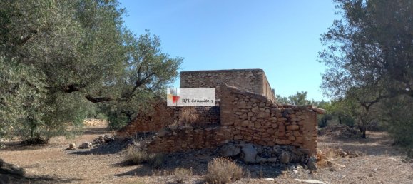 Grundstück in L'Ampolla, Spain 24913m², Nr. 165633 24