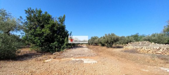 Grundstück in L'Ampolla, Spain 24913m², Nr. 165633 12