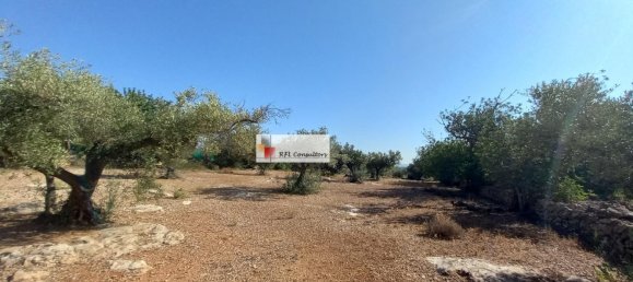 Grundstück in L'Ampolla, Spain 24913m², Nr. 165633 15