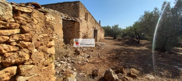 Grundstück in L'Ampolla, Spain 24913m², Nr. 165633 2