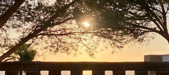 4 Schlafzimmer Haus in Llucmajor, Spain, Nr. 156948 52