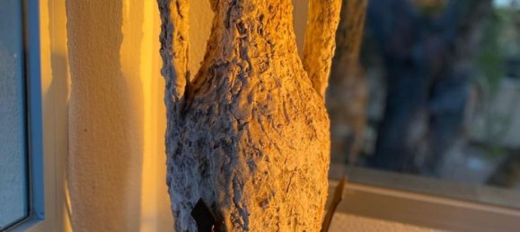 4 Schlafzimmer Haus in Llucmajor, Spain, Nr. 156948 63