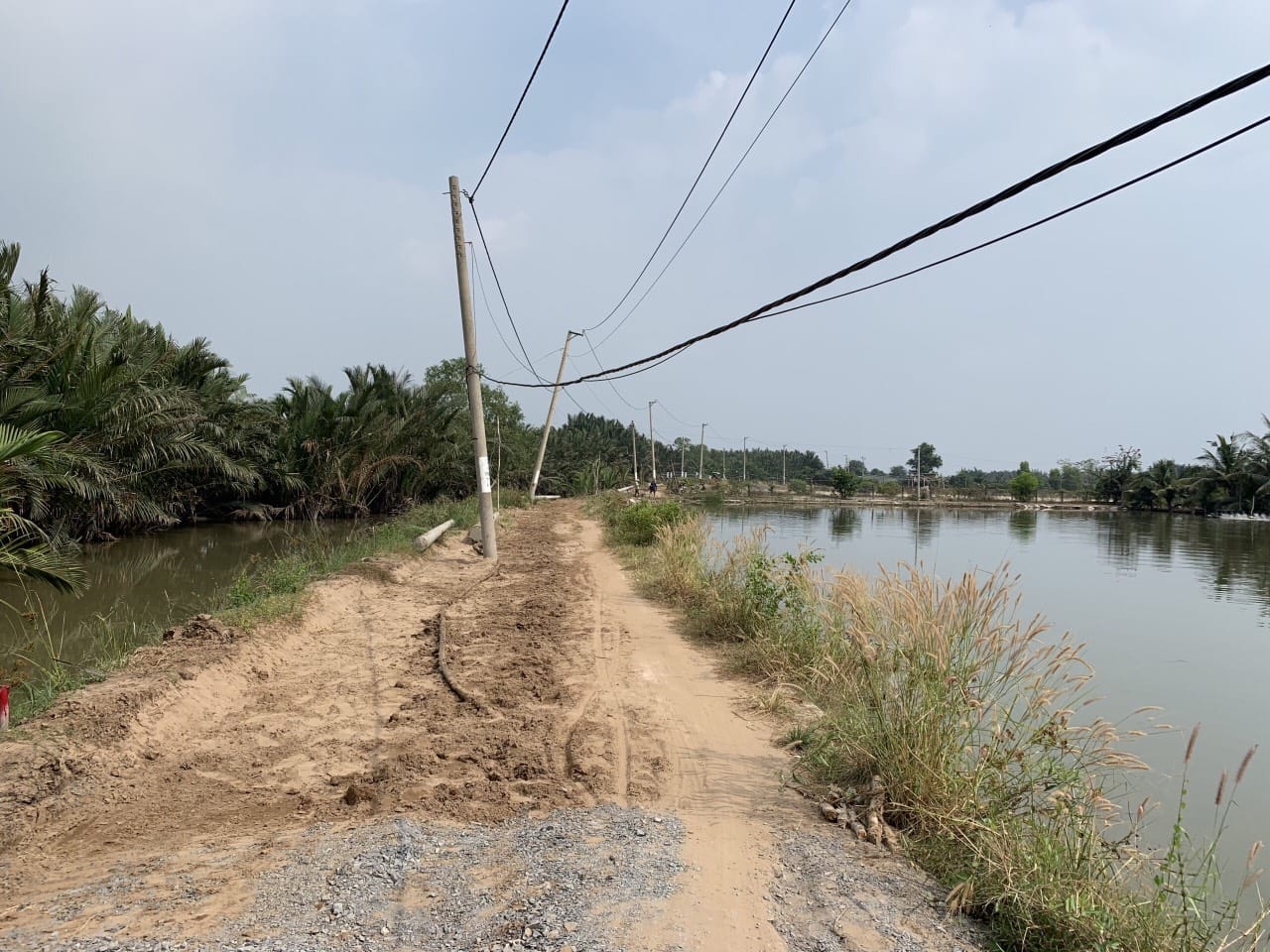 125.36m² Land in Nha Be, Vietnam No. 13056