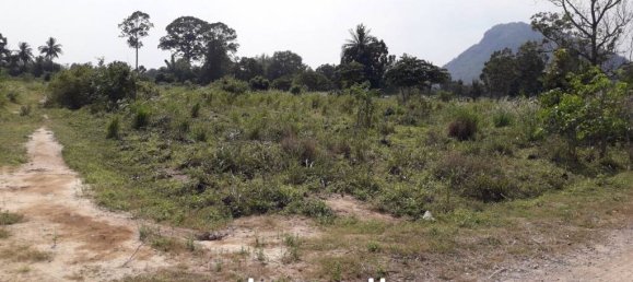  Commercial property in Cha-am, Thailand No. 14378 7