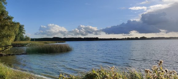 3 غرف نوم شقة في Ludwigslust-Parchim, Germany رقم 150240 23