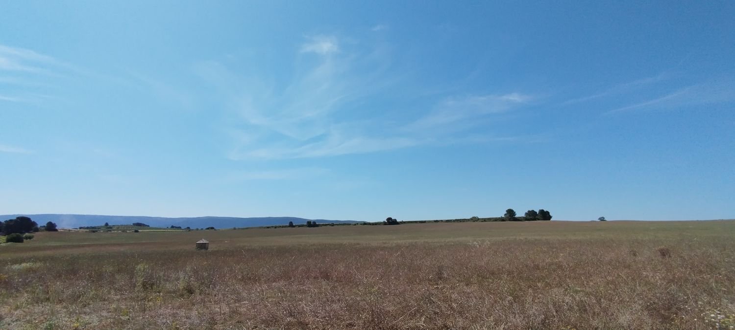 12 Schlafzimmer Haus in Valencia, Spain, Nr. 281306