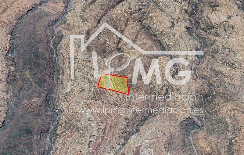 7927m² Land in Granadilla de Abona, Spain No. 237669